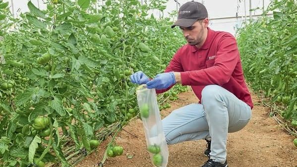 Repercusiones del cambio climático en la seguridad alimentaria.jpg